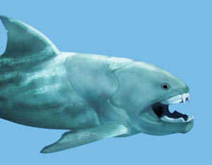 ‘둔클레오스테우스 테렐리’ (Dunkleosteus terrelli)가 컴퓨터로 복원된 모습.