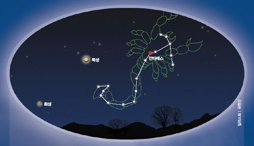 1월의 새벽하늘. 동이 트기 전, 지평선 부근에 전갈자리가 떠오른다. 전갈자리의 밝은 별 안타레스와 목성, 화성을 찾아보자.