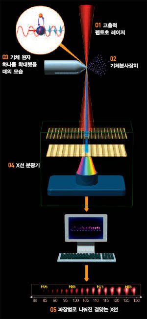 결맞는 X선 발생원리 고출력 펨토초 레이저 펄스(01)를 아르곤이나 네온, 헬륨 같은 비활성기체 원자에 쏜다(02). 이때 레이저 펄스가 강한 전기장을 내놓아 기체 원자를 강력하게 흔들어놓고 전자가 원자에서 떨어져 나온다(03). 이때 강력한 빛이 발생하는데 X선 분광기를 거치며(04) 파장 40~300Å의 X선이 만들어진다(05).