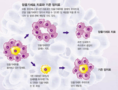 암줄기세포 치료와 기존 암치료^보통 항암제나 방사선 치료로는 암줄기세포를 없애지 못하는데, 만일 암줄기세포만 찾아서 죽일 수 있다면 암 재발을 막을 뿐 아 니라 암 발생 전에 예방할 수도 있다.