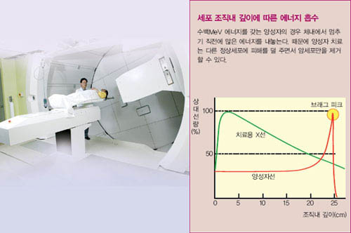 세포 조직내 깊이에 따른 에너지 흡수^수백MeV 에너지를 갖는 양성자의 경우 체내에서 멈추 기 직전에 많은 에너지를 내놓는다. 때문에 양성자 치료 는 다른 정상세포에 피해를 덜 주면서 암세포만을 제거 할 수 있다.