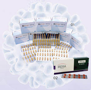 01 글리벡은 만성골수성 백혈병 세포에만 나타나는 단백질을 표적삼아 암세포만 공격하는 표적항암제다. 02 이레사는 폐암 표적항암제의 가능성을 연 첫 주자로 꼽힌다.