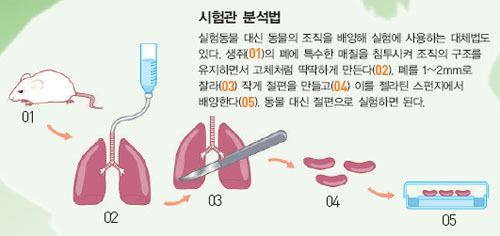 시험관 분석법