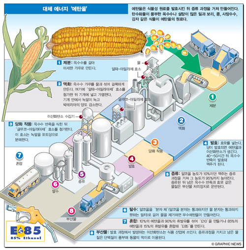 대체 에너지 '에탄올'