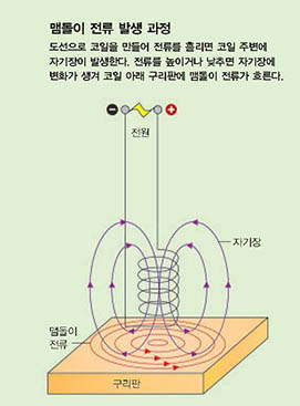 맴돌이 전류 발생 과정^도선으로 코일을 만들어 전류를 흘리면 코일 주변에 자기장이 발생한다. 전류를 높이거나 낮추면 자기장에 변화가 생겨 코일 아래 구리판에 맴돌이 전류가 흐른다.