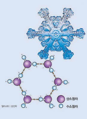 눈 결정이 육각형인 이유^물분자를 이루는 수소원자와 산소원자의 전기음성도가 서로 달라 수소원자 쪽에 +극이, 산소원자 쪽에 -극이 생긴다. 온도가 내려가면 +극을 띠는 수소가 다른 물분자의 -극을 띠는 산소와 결합해 물분자 6개가 고리를 만든다. 이 구조에서 다양한 육각형의 눈 결정이 만들어진다.