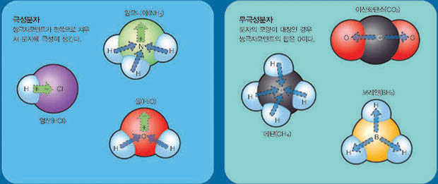 분자모양에 따라 달라지는 극성^분자 안에서 원자의 전기음성도에 따라 양전하와 음전하가 갈리는 정도를 쌍극자모멘트라고 한다. 쌍극자모멘트의 합을 구하면 분자 전체의 극성을 알 수 있다.