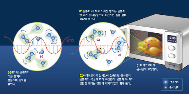 전자레인지는 마이크로파를 음식물에 쏴 그 안의 물분자를 진동시켜 음식물을 익힌다.