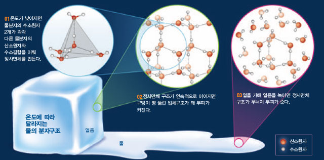 온도에 따라 달라지는 물의 분자구조