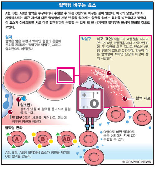 혈액형 바꾸는 효소