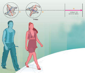 사람의 무게중심 이동^사람은 하나의 회전축을 기준으로 상체(빨강)와 하체(파랑)가 반대방향으로 회전한다. 무게중심 (보라색 점)은 회전축 위에 있다(01). 하체의 오 른발이 앞으로 나갈 때는 상체의 왼팔이 앞으로 나가며 균형을 잡는다(02). 상체와 하체가 반대 로 회전하기 때문에 무게중심은 좌우로 치우치 지 않고 거의 일직선에 가깝게 이동한다(03).