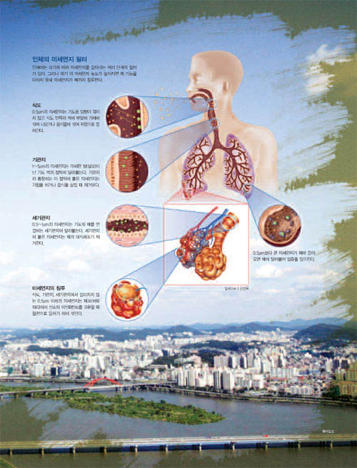 인체의 미세먼지 필터^인체에는 크기에 따라 미세먼지를 걸러내는 여러 단계의 필터 가 있다. 그러나 대기 의 미세먼지 농도가 높아지면 제 기능을 다하지 못해 미세먼지가 폐까지 침투한다.