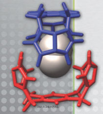 줄리우스 리벡 교수가 1993년 발견한 초분자공인 ‘테니스공’. 자기조립을 이용한 초분자체 연구의 시발점이 됐다.