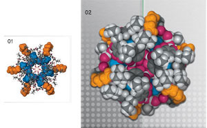 0102제리 앳우드 교수가 자기조립으로 최근 합성한 분자들. 이 분자들은 정이십면체와 마찬가지로 대칭구조를 갖고 있다.