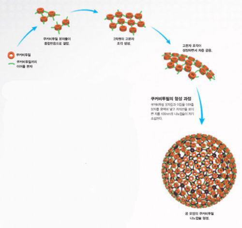 쿠커비투릴의 형성 과정