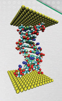 DNA, RNA와 같은 핵산은 나노 크기의 생체 분자로 자기조립형 물질이다.