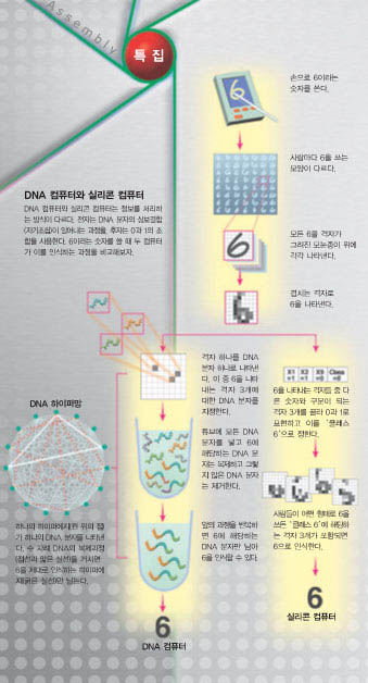 DNA 컴퓨터와 실리콘 컴퓨터