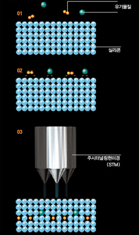 실리콘에 침투시킨 유기분자의 위치측정