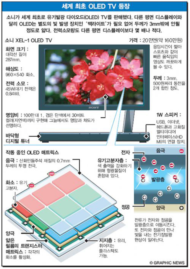 세계 최초 OLED TV 등장