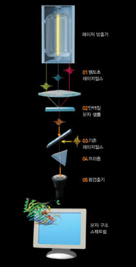 2차원 분광학으로 단백질 분자 구조를 측정하는 방법^서로 다른 파장과 진행 방향을 가진 빛(01)을 모아 펨토초 시간 단위로 단백질 분자 샘플(02)에 쪼이면 새로운 파장의 빛이 만들어진다. 이 빛과 파장을 알고 있는 기준 빛(03)을 반사경으로 모은 뒤 프리즘(04)으로 불필요한 빛을 제거하고 광검출기(05)로 보낸다. 빛의 스펙트럼을 분석해 단백질 분자 구조를 알아낼 수 있다.