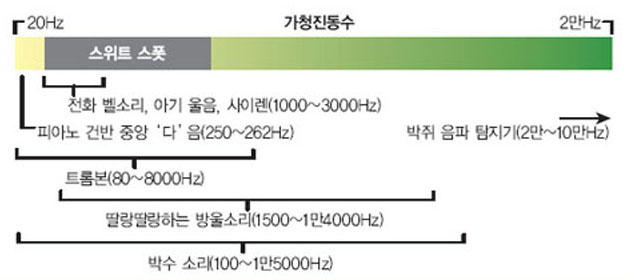 가청진동수의 '스위트 스폿'