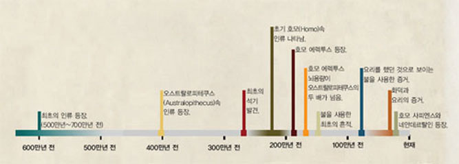 침팬지와 공통조상에서 갈라져 나온 인류는 도구와 불을 사용함으로써 자신의 진화방향을 결정지었다.