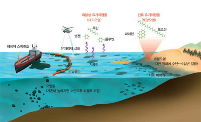 기름유출 2차 피해^회수되지 못한 기름은 뭉쳐 바다에 가라앉아 해상 장기 오염원이 되고 개펄에 밀려온 기름은 오랫동안 남아 생태계를 교란한다.