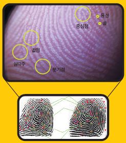 왼쪽의 새로 인식된 지문과 저장되어 있던 오른쪽 지문의 특징을 비교해 본인인지 아닌지를 알아 낸다. 