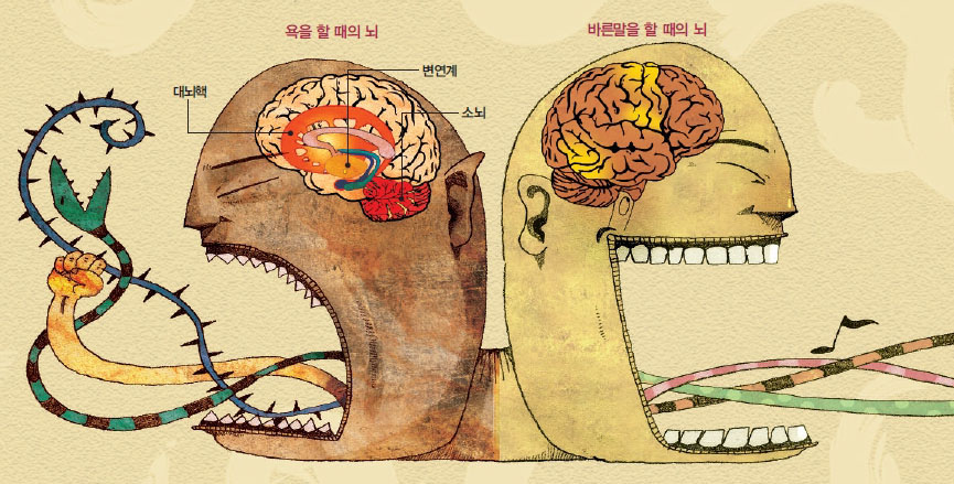 욕을 할 때는 뇌의 변연계와 대뇌핵이 활성화되지만, 바른말을 할 때는 뇌의 표피부위에서 언어를관장하는부위가 활성화(노란색 부분)된다.