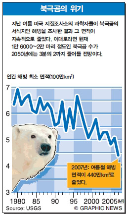 북극곰의 위기