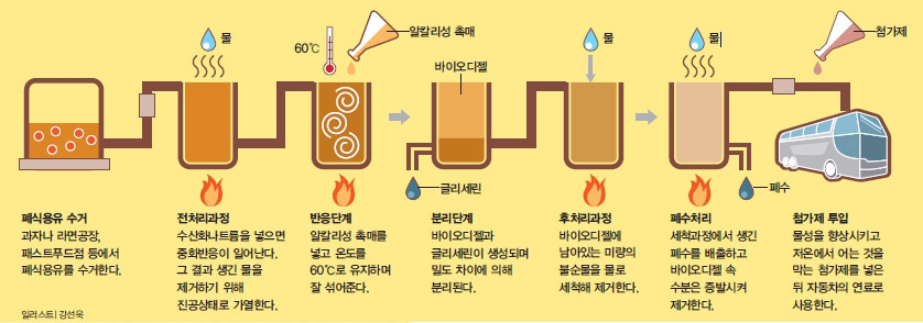 폐식용유로 바이오디젤 만드는 과정^매년 국내에서 발생하는 폐식용유 20만 톤 가운데 재활용되는 비율은 고작 50%에 불과하다. 그냥 버리면 환경을 오염시키지만 바이오디젤로 재활용하면 화석연료의 소비를 줄이고 지구온난화도 늦출 수 있다.