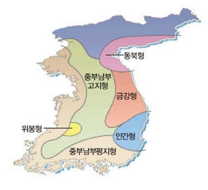 소나무의 지역형 분포^한반도의 소나무는 자라는 지역의 기후와 지질에 따라 6가지 지역형으로 분류된다. 강원도와 경북 일대에 분포하는 금강소나무는 곧게 자라고 재질이 치밀해 우수한 건축재다.