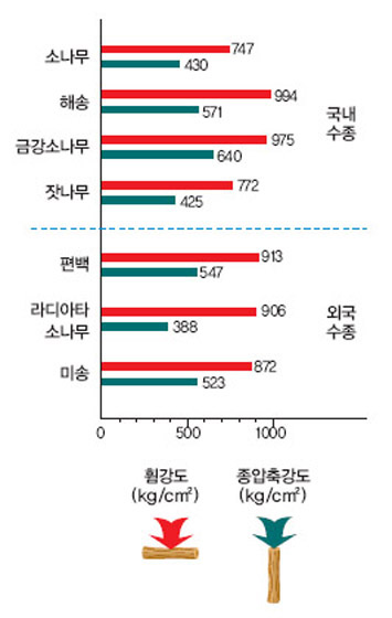 국내외 대표적인 용재수종의 재질 강도^금강소나무는 다른 수종에 비해 휨강도와 종압축강도 모두 우수하다.