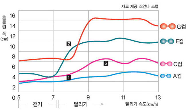 브래지어 컵 사이즈에 따른 속도별 유방의 흔들린 거리