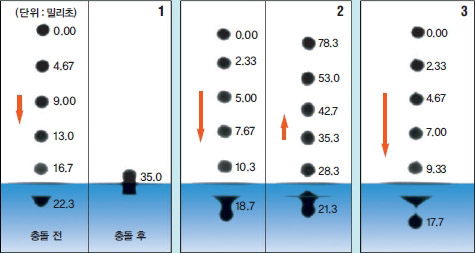 소금쟁이 점프의 비밀을 밝히기 위해 소금쟁이에