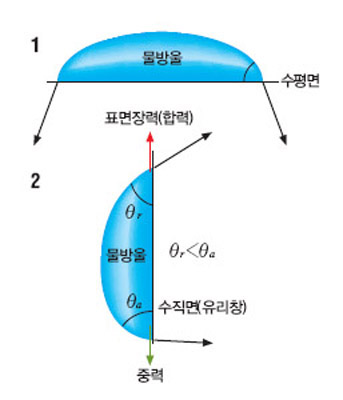 유리창 빗방울이 흘러내리지 않는 이유