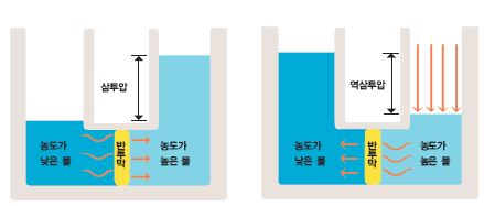 반투막으로 농도가 높은 물과 낮은 물을 나누면 농도가 높은 쪽으로 물이 이동하는 삼투 현상이 일어난다(왼쪽). 이 때 물을 밀어 올리는 힘을 삼투압이라고 한다.역삼투 현상은 반대로 농도가 높은 물에 압력을 가하면 농도가 낮은 물쪽으로 물만 이동하는 현상이다(오른쪽).