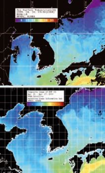 위성으로 본 1999년(위)과 2009년(아래)의 수온영상. 각각 4월 말경 측정한 것으로, 바다가 남색에 가까울수록 수온이 차다. 동해에서 따뜻한 하늘색 영역이 북쪽으로 올라간 것을 알 수 있다.