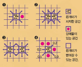 흰개미는 어떻게 이동할까?