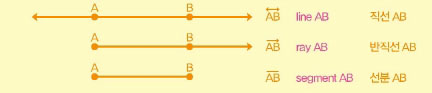 수학에서 쓰이는 선은 아주 다양하다.