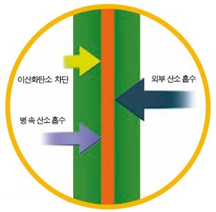 평범해 보이는 페트병이지만 그 안에는 나일론과 탄화 코발트 성분으로 만든 산소 흡수층이 들어 있다. 이 층은 병의 안팎에 있는 산소를 흡수하고 이산화탄소가 빠져 나가는 것을 막아 탄산음료의 톡 쏘는 맛을 유지시켜 준다.