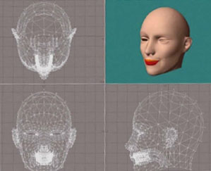 얼굴을 그래픽 프로그램으로 그리는 과정. 3차원 좌표 안에 정밀하게 표현한다.