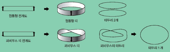 뫼비우스 띠는 직사각형 띠를 180˚꼬아 양쪽 끝을 붙여 만든다. 끝을 붙일 때는 반대면이 만나도록 붙여야 뫼비우스 띠를 만들 수 있다. 뫼비우스의 테두리를 당기면 테두리가 하나인 원이 나온다. 