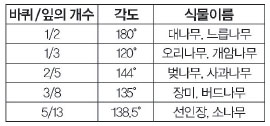 잎의 개수는 피보나치 수열