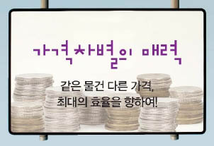 가격차별의 매력