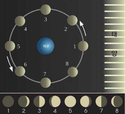 달이 태양과 지구 사이의 1번 위치에 있으면 지구에서는 달을 볼 수 없다. 달의 위치가 바뀌면서 달이 점점 많이 보이다가, 5번 위치에 오면 보름달이 된다.