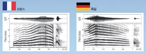 나라에 따라 울음소리의 곡선이 다르게 나타났다.