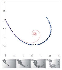 수조로 던진 공은 파란 곡선을 따라 움직인다. 빨간 선은 회전하는 물체의 이상적인 곡선이다.