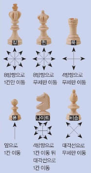 말을 움직이는 기본적인 방법