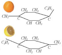 L-리모넨은 오렌지 향을, D-리모넨은 레몬 향을 낸다.